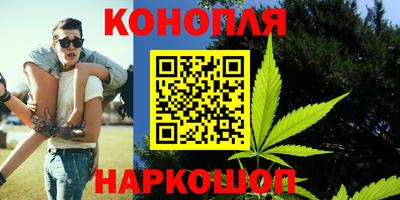 индика Заводоуковск