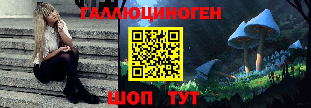 Псилоцибиновые грибы прущие грибы Углич