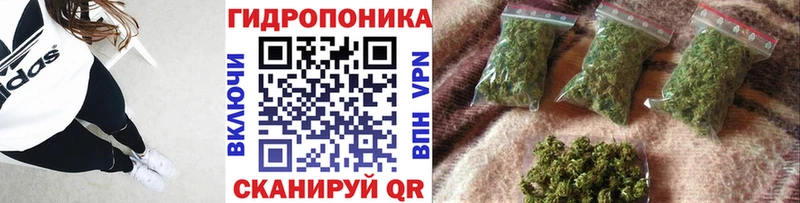 KRAKEN ONION  Углич  Марихуана план  купить  цена 